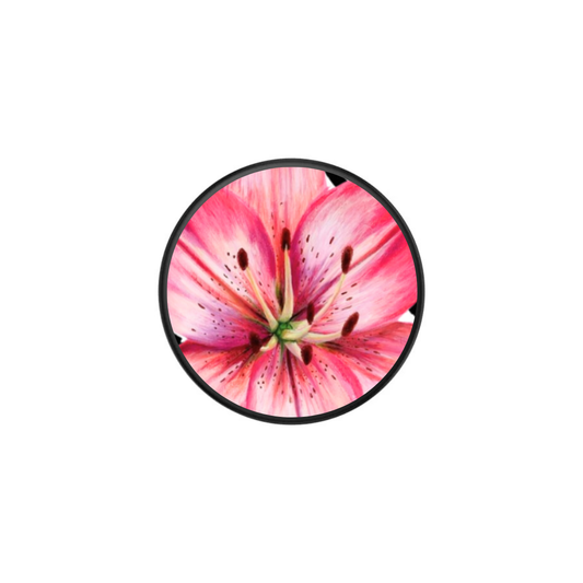 Lily Stripes Popsocket